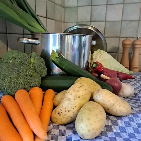 Filly 4c - 14 Pers. Nadrin