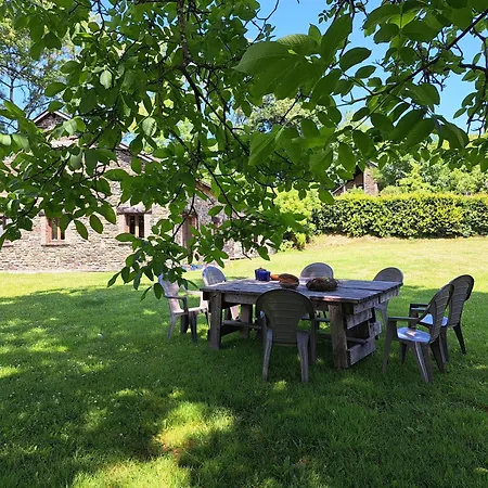 Filly 4c - 14 Pers. Holiday home Nadrin